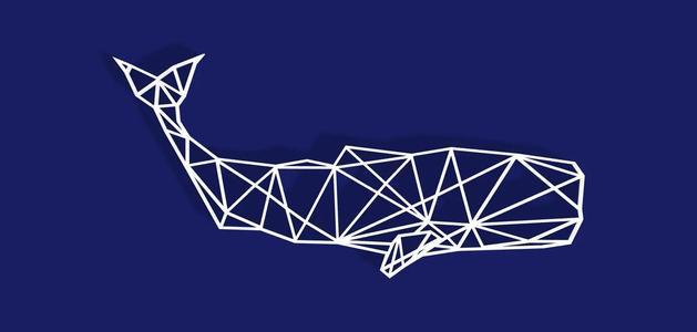 Geometric Sperm Whale