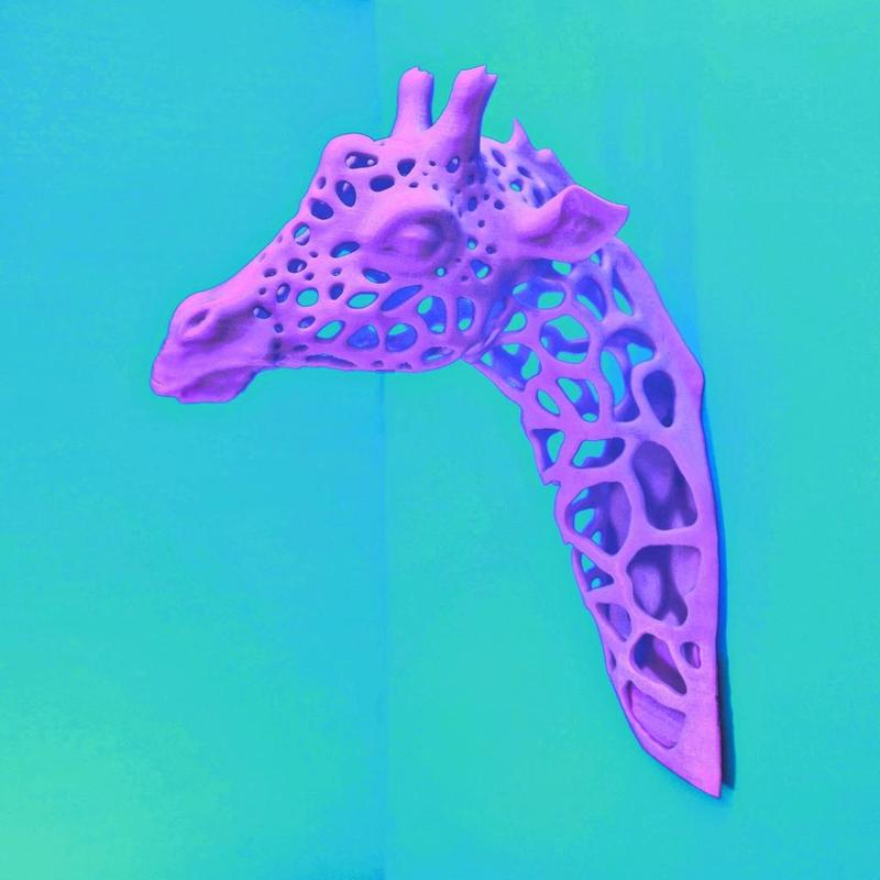 Giraffe Spots