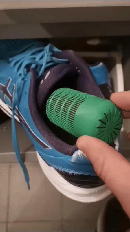 Shoe Dryer