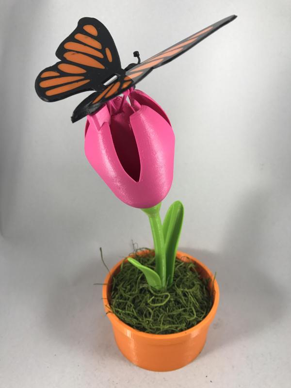 Butterfly, Animated
