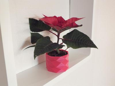 Original polygonal flowerpot