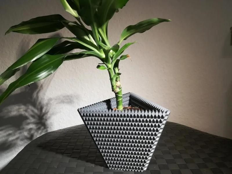 Bilinski’s Vase – Golden Rhombus
