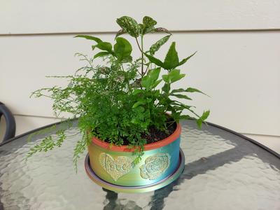 Valentine’s Heart & Rose Planter Set