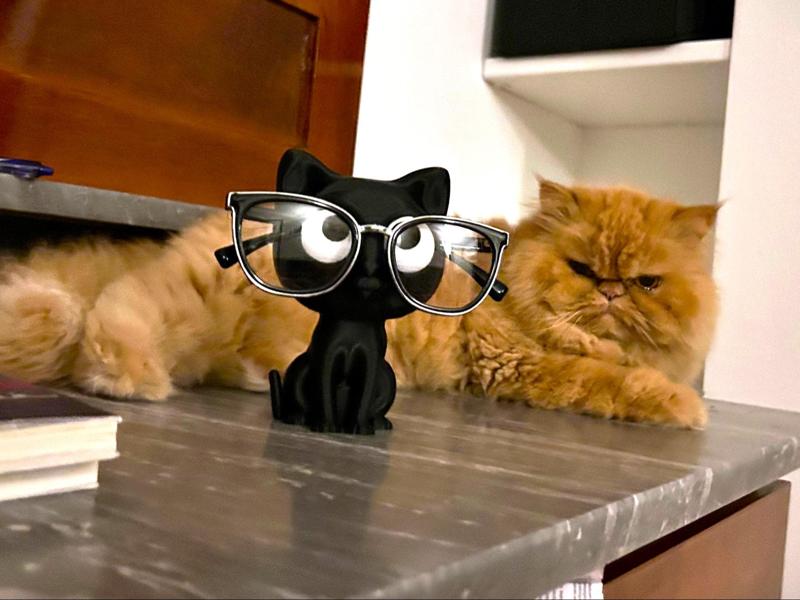 Cat eyeglass holder