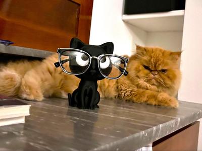 Cat eyeglass holder