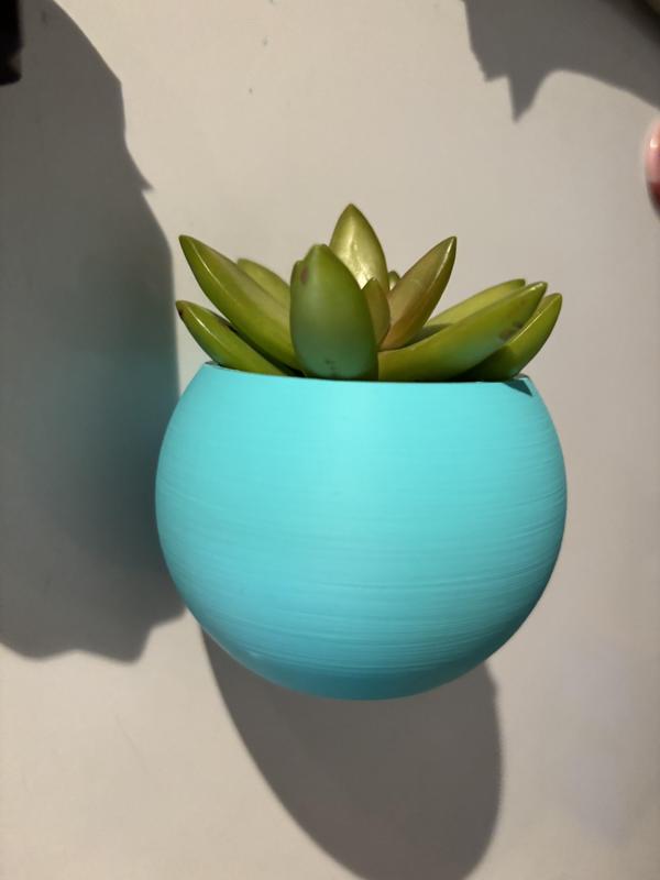Fridge magnetic planter for succelent plants – 2