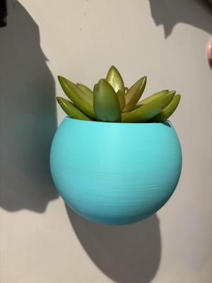 Fridge magnetic planter for succelent plants – 2