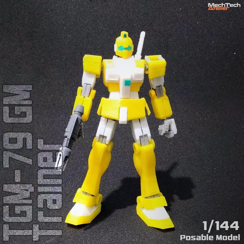 [1/144] TGM-79 GM Trainer