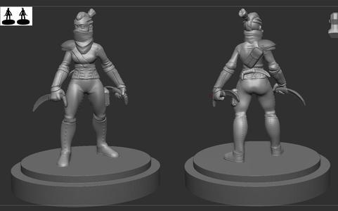 Female Rogue 35mm DnD Mini