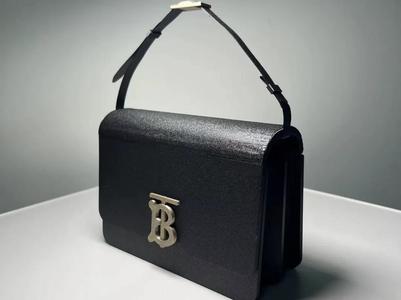 Gift for Love (Burberry) Burberry Accordion Bag