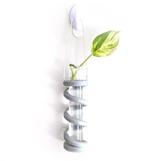 Growth Spiral Test Tube Holder for Plant Propagation – Royalty-Free