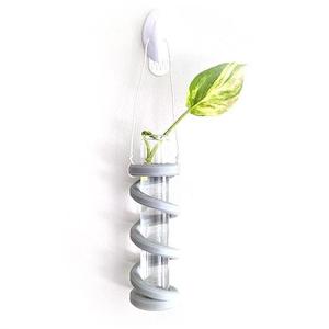 Growth Spiral Test Tube Holder for Plant Propagation – Royalty-Free