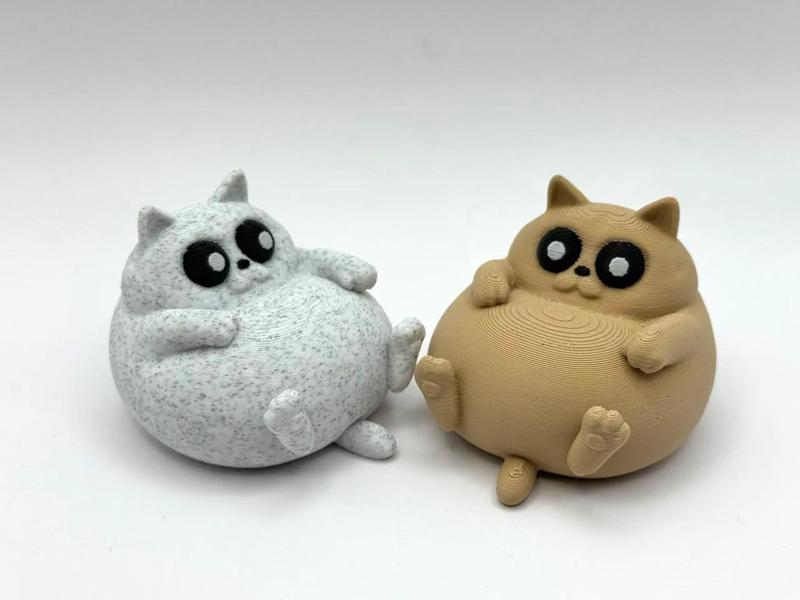 Chill Chonky Cat