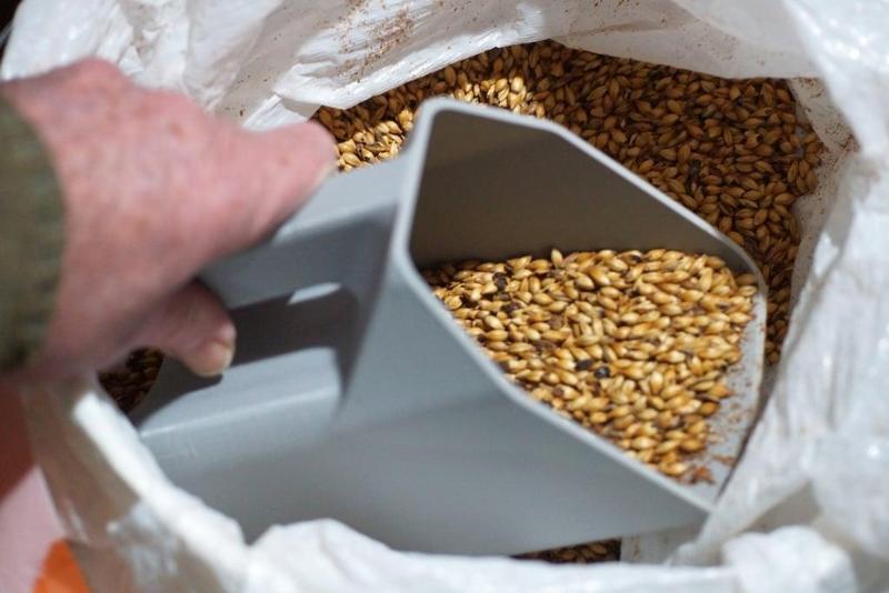 Grain Scoop
