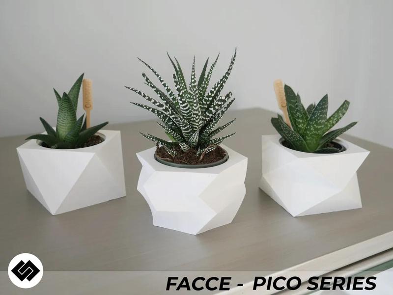 Facce Series Triple Planter Set