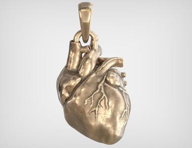 Anatomical Heart Pendant