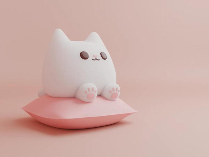 Cute chubby cat