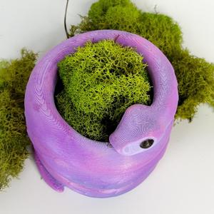Snake Pot