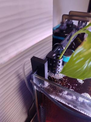 Plant holder for aquarium
