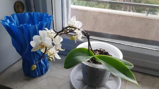 Simple pot for orchids