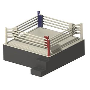 Exquisite Boxing Ring