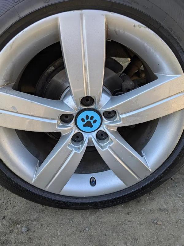 Dog paw print alloy wheel centre cap 56mm (Audi/VW etc)