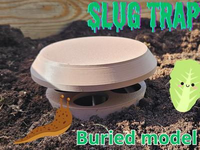 Slug/snail beer trap