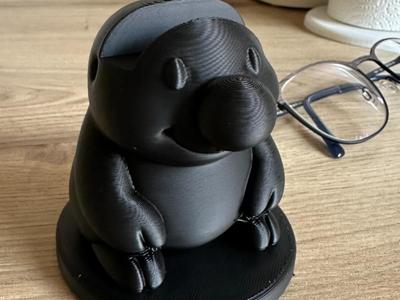 glasses holder -Mole