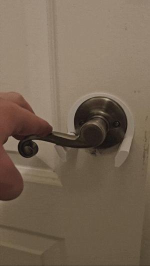Pet & Child Lever Handle Door lock