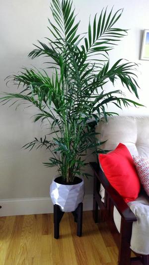 10″ Pot with Stand