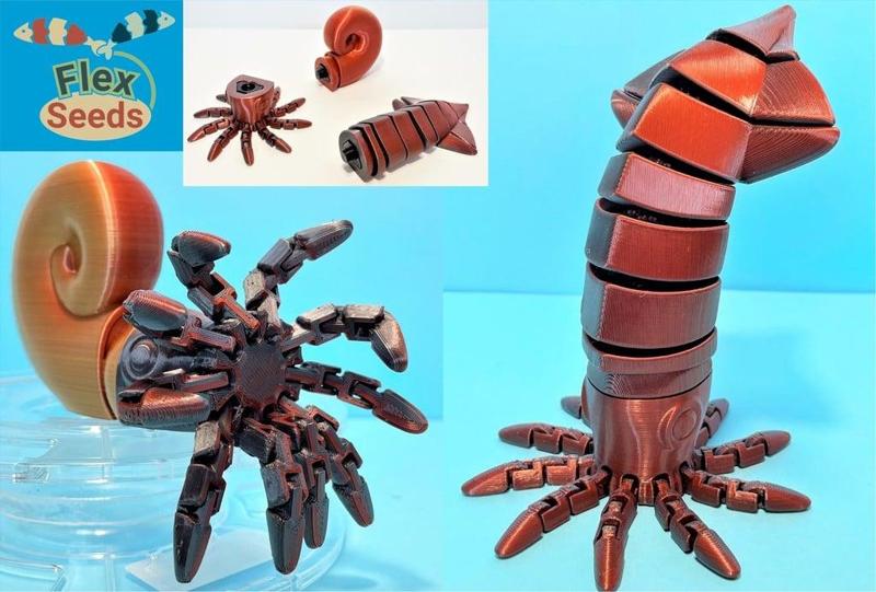 Flexi Squid & Ammonite Set