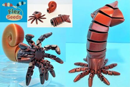 Flexi Squid & Ammonite Set