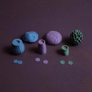 Magnetic Mushrooms - Fidget Toy with Magnetics, Joystick, Slider, Pop Fidgets