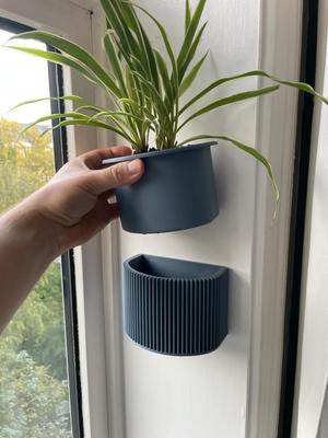 Wall Planter – No nails/screws