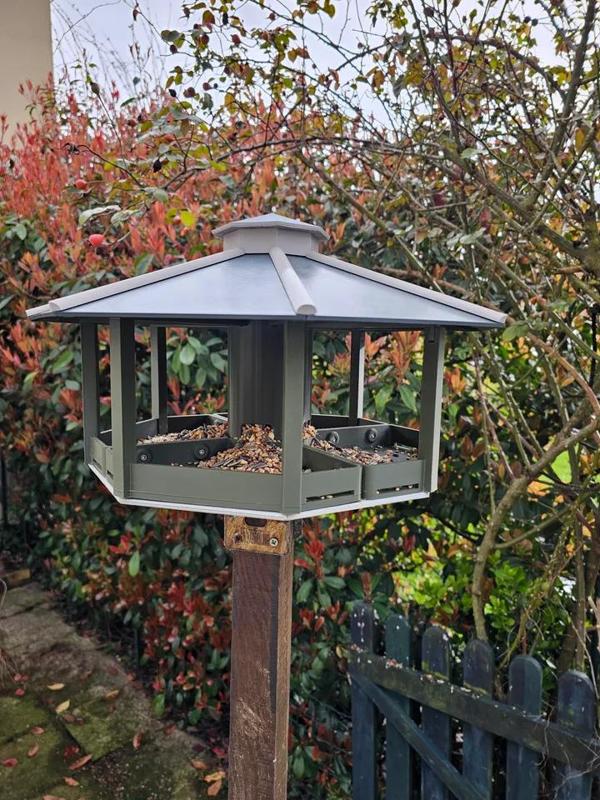 Mangeoire à oiseaux (Bird feeder)   