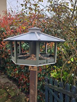 Mangeoire à oiseaux (Bird feeder)   