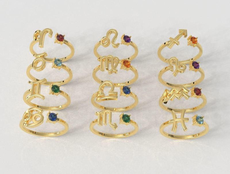 12 Zodiac Rings 3D Model Collection