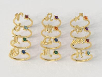 12 Zodiac Rings 3D Model Collection