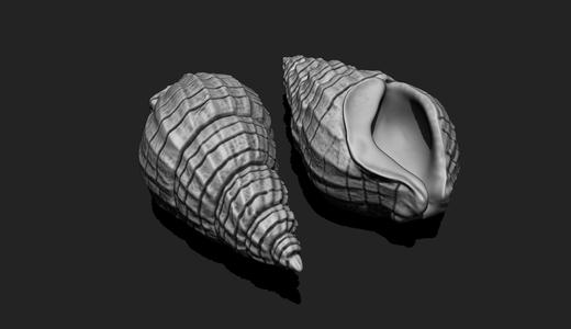 Shell 3 – 3D Print – Aquarium
