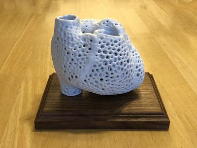 Anatomically Correct Voronoi Heart