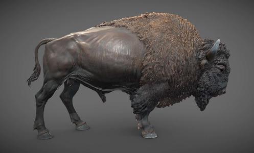 Bison – 3D Sculpting – High Poly