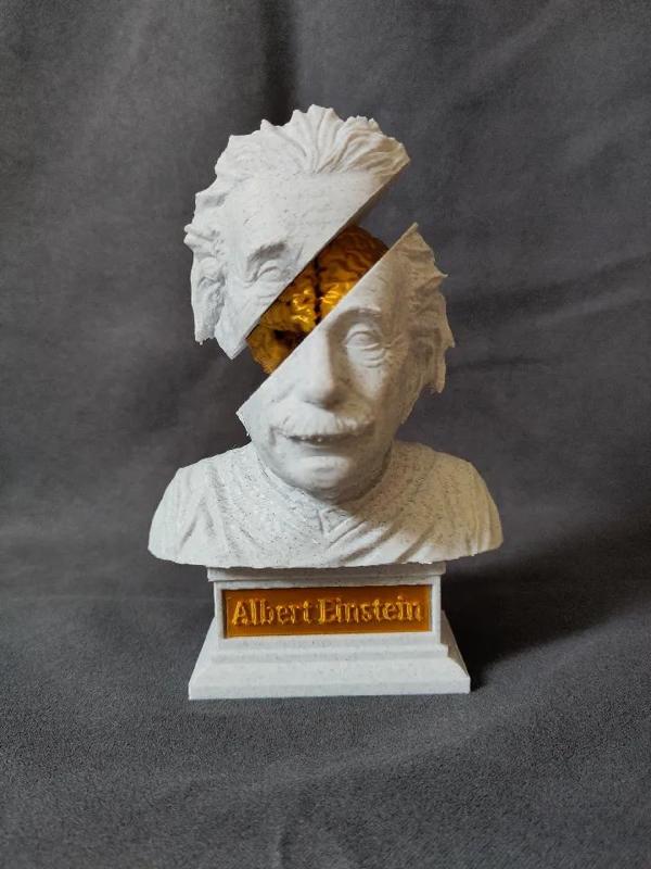 Insights into a Genius: Albert Einstein