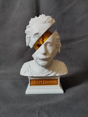 Insights into a Genius: Albert Einstein