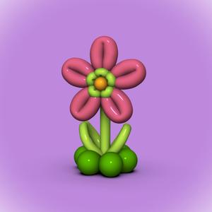 Balloon Flower 2