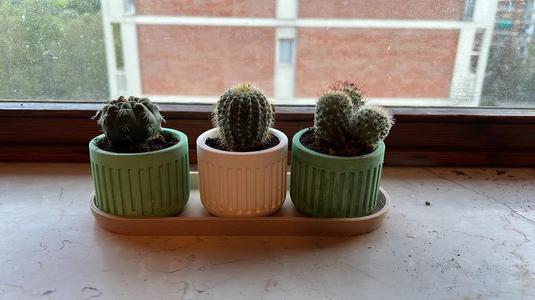 Simple Vase – Silicone Mold Kit Included