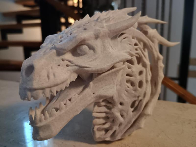 Ancient Bone Dragon Head