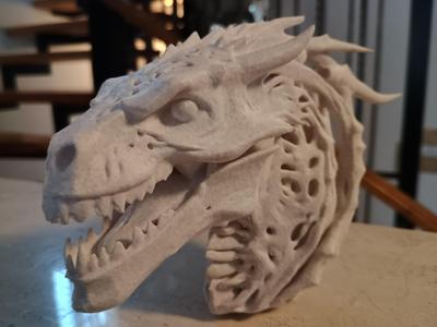 Ancient Bone Dragon Head
