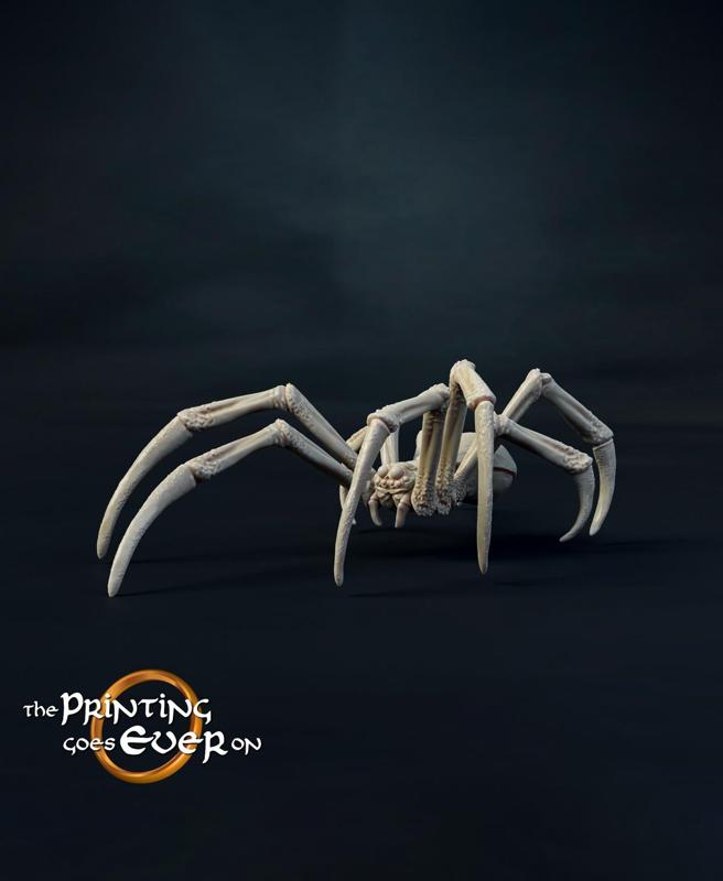 Medium Spider A