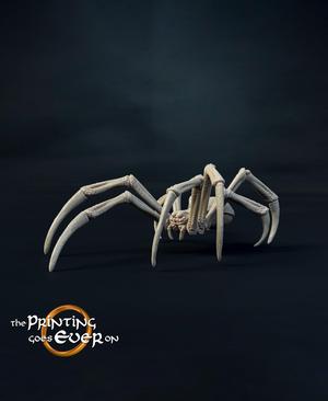 Medium Spider A