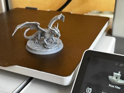 Attacking Dragon
